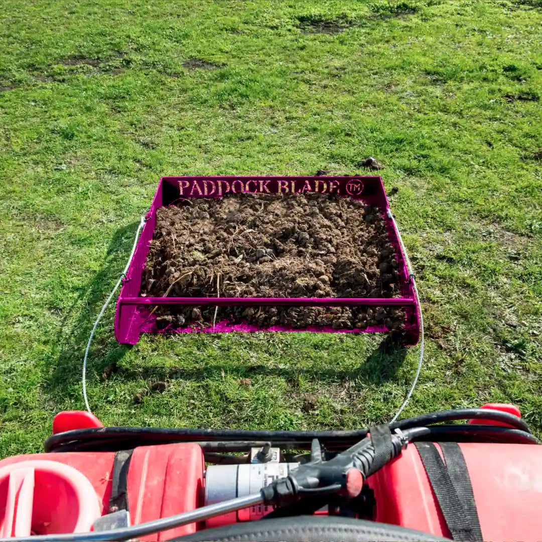 Paddock Blade Manure Collector | (NEW Pink) | FREE Delivery